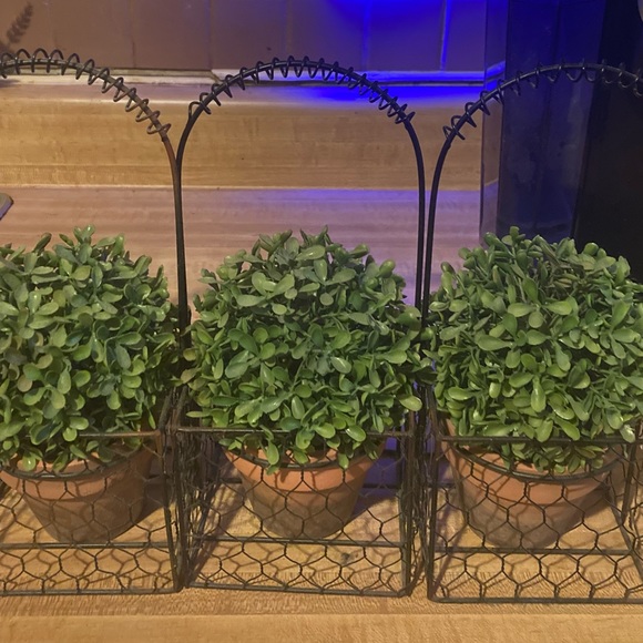 Faux Boxwood Topiary in Pot (Set of 3) - Picture 3 of 5